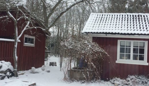 スウェーデンの様子(高校留学)