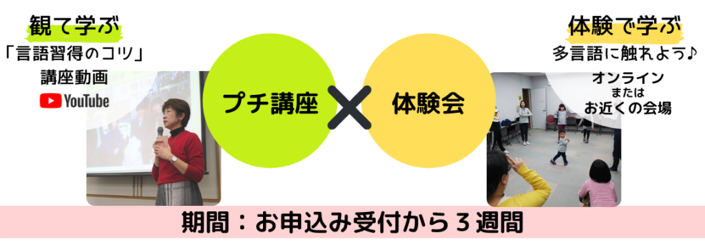 大人からの多言語習得 論文